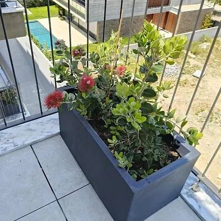 Appartamento Bellevue Living Sea And By Mp