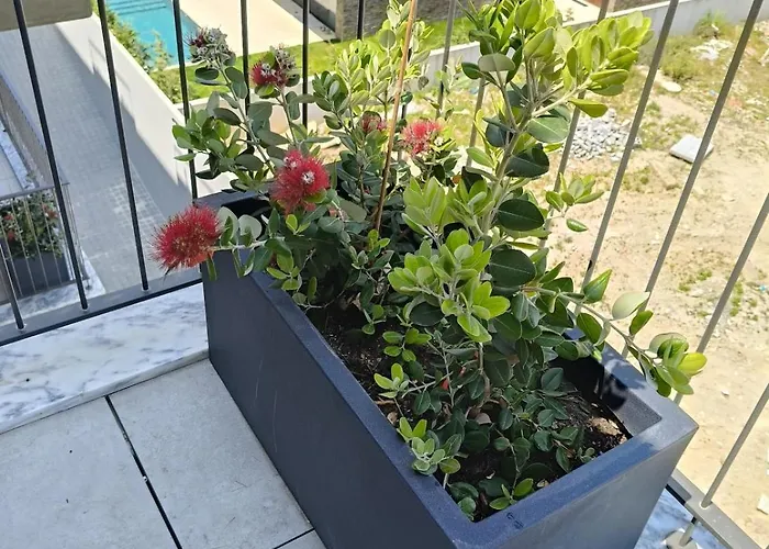 아파트 Bellevue Living Sea And By Mp